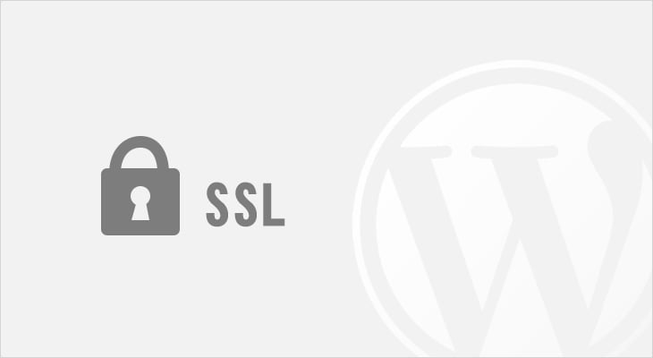 wordpress SSL